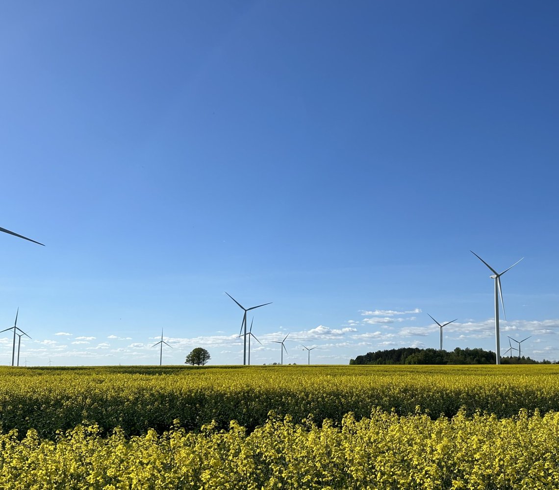 Wind power plants on a rapeseed field during a sunny spring day.