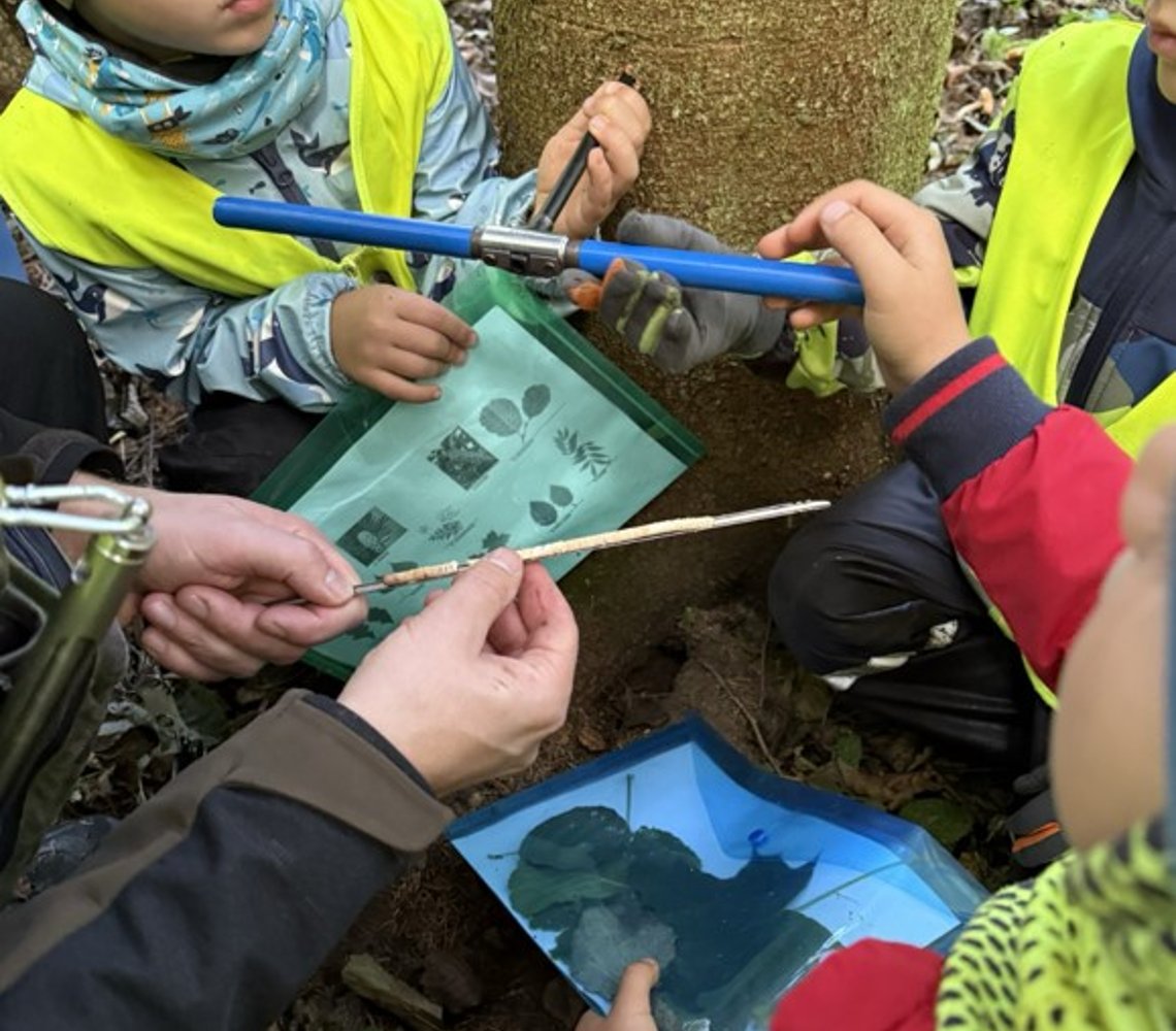 Children measuring a tree