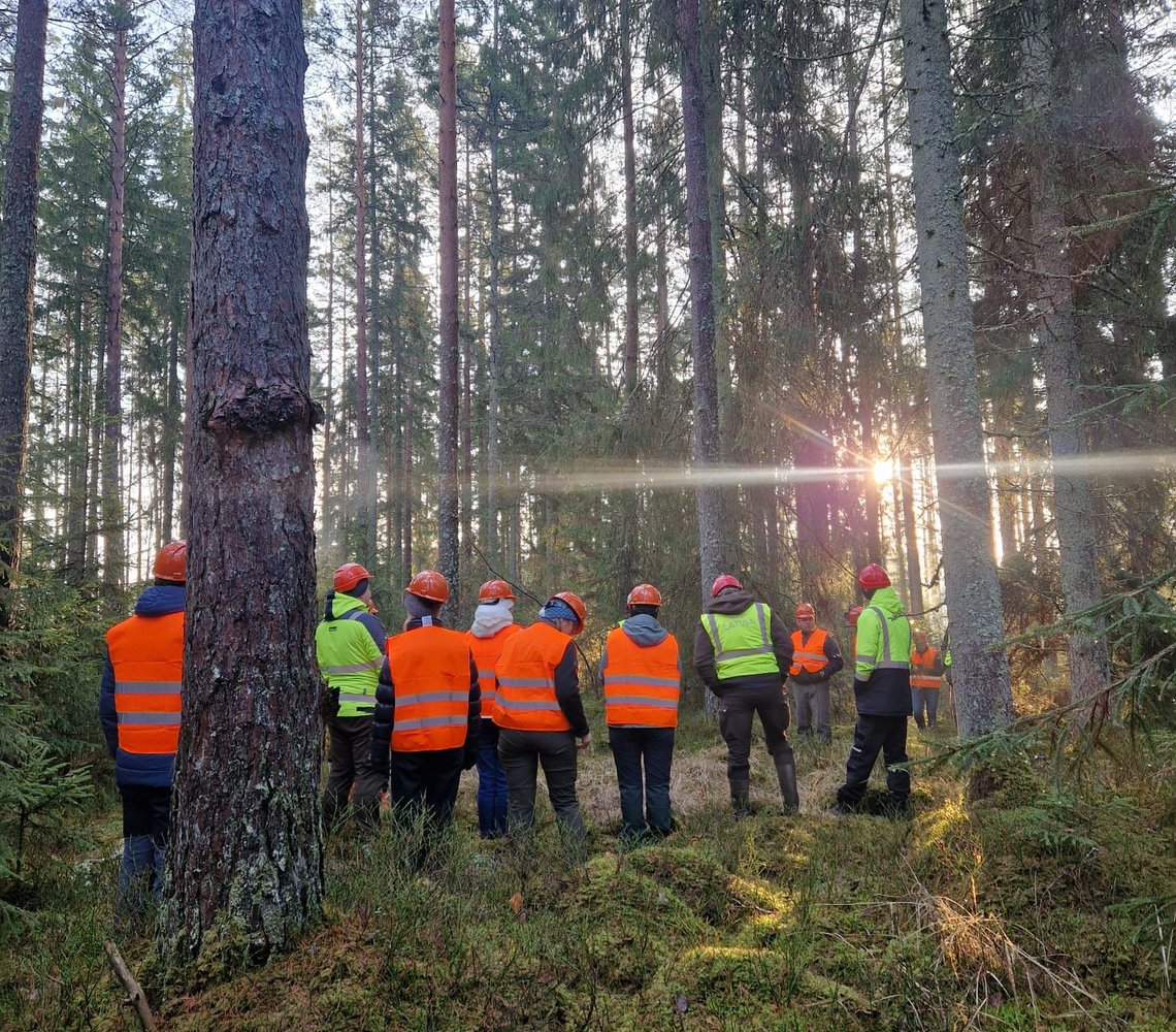 Forest Technical School students learning from Ingka Investments
