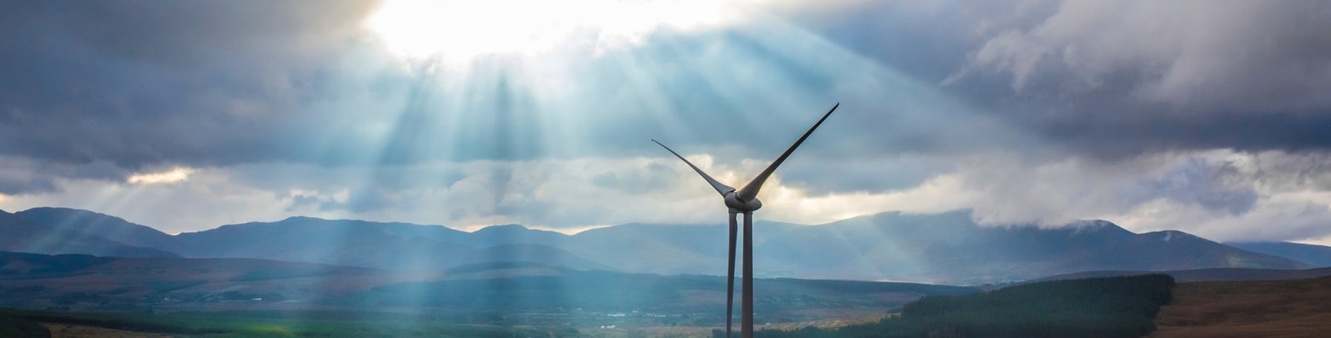 Renewable energy wind farm