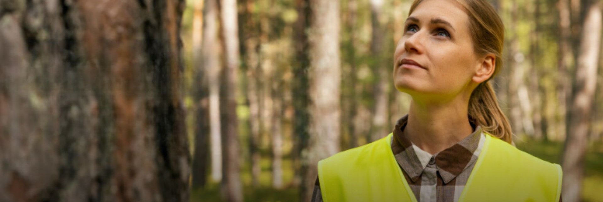 Girls in forestry