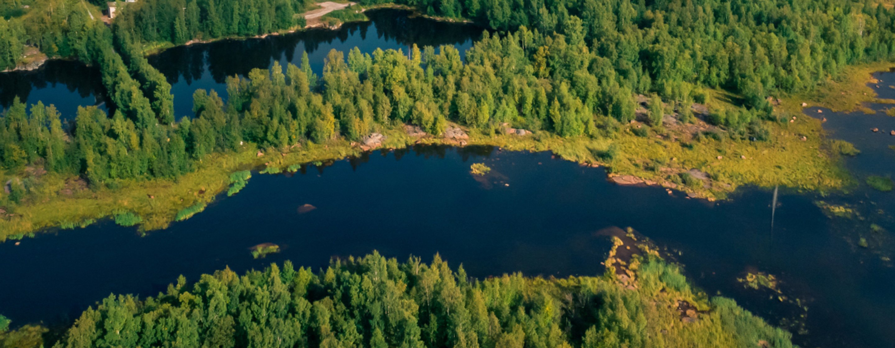 View over lakes and forest