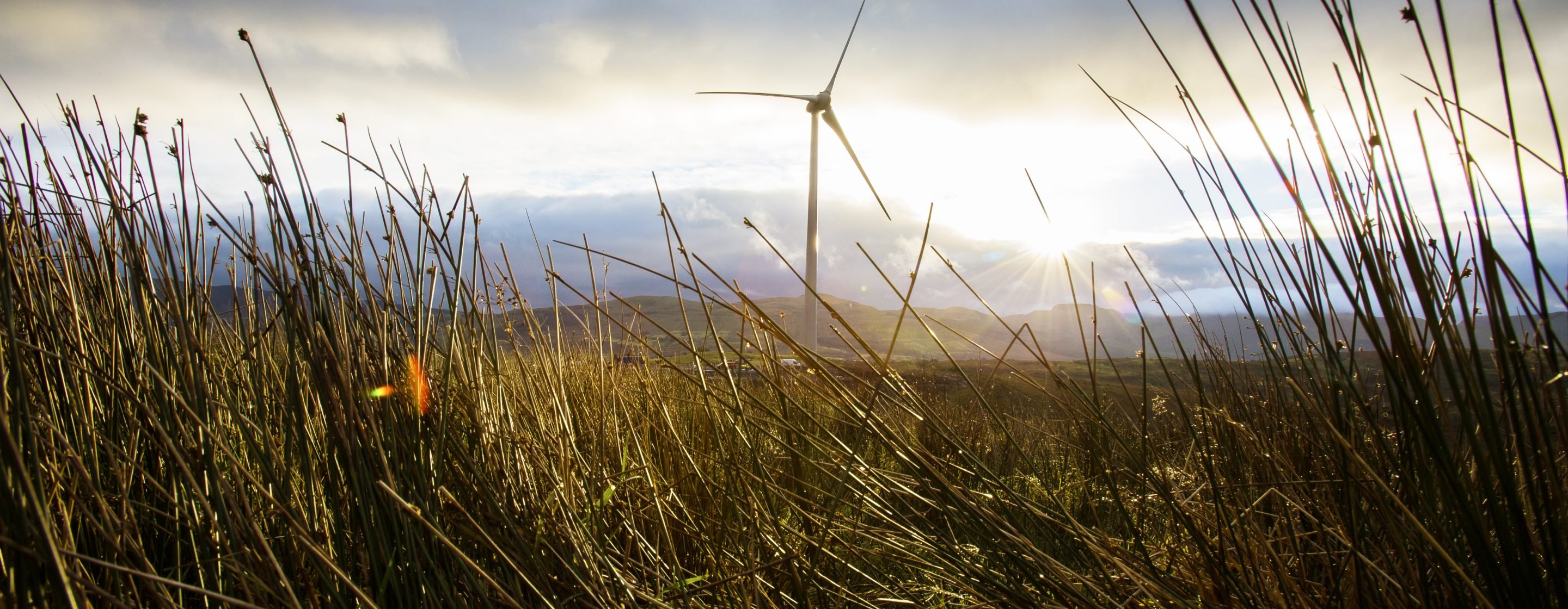 A windmill in nature.