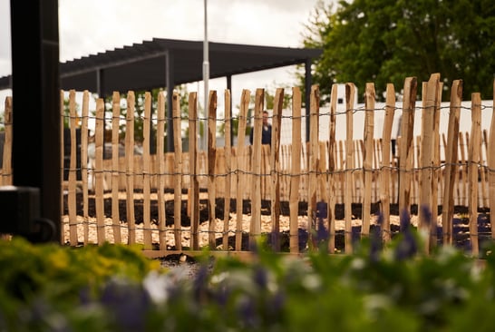 A wooden fence surrounding the plant school