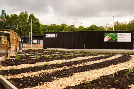 Outdoors plant school