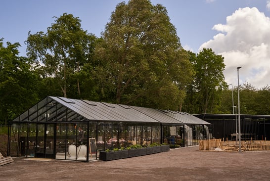 Green house with trees growing behind it