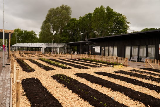 Outdoors plant school