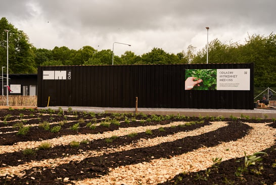 Outdoors plant school