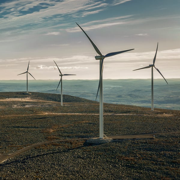 A windmill farm.