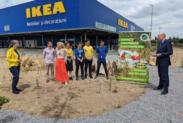 First IKEA store in western Romania opens doors insect friendly