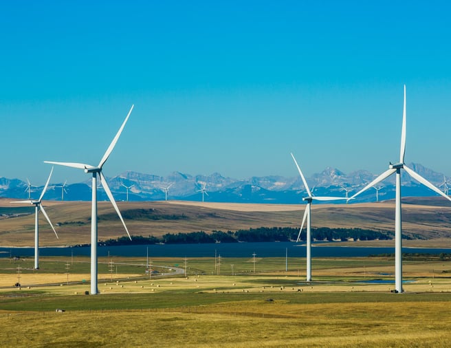 A sunny day with blue sky in a field with wind turbines.