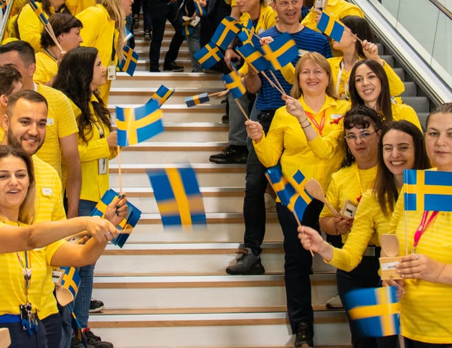 First IKEA store in western Romania opens doors