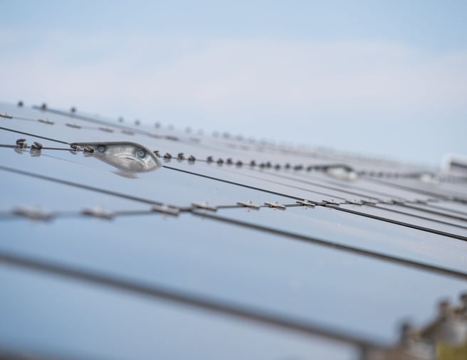 Solar park