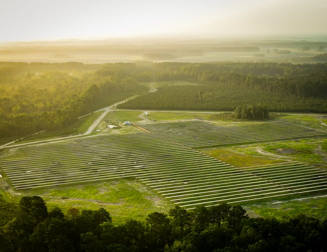 The 178,000-panel Kingstree West solar park in Williamsburg County, South Carolina