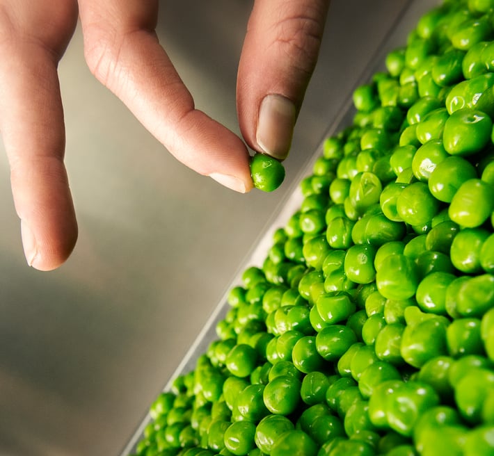 Hand picking a green pea from plate.