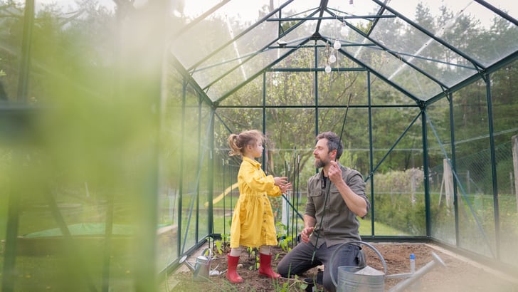 Father and daughter in a yellow dress and red rubber boots working together in a green house