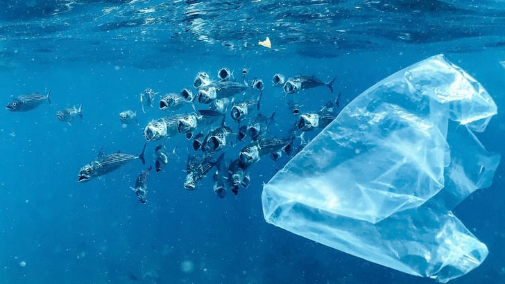 Plastic floating in ocean