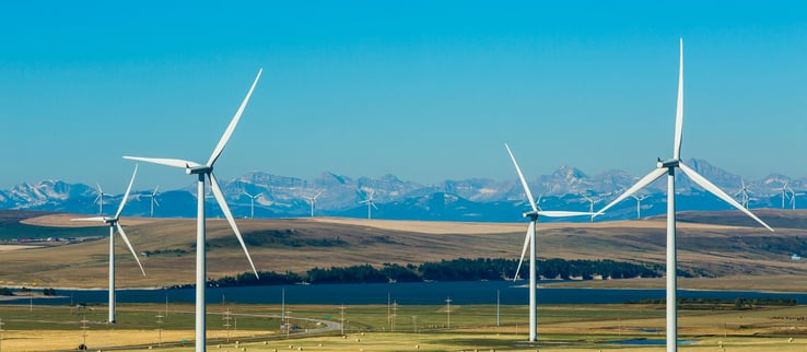 A sunny day with blue sky in a field with wind turbines.