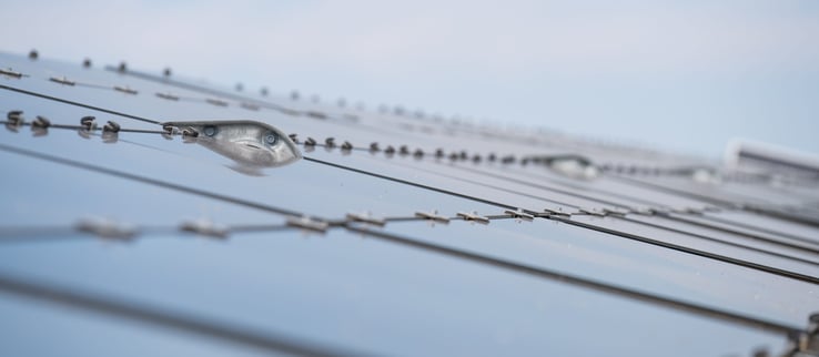 Solar park