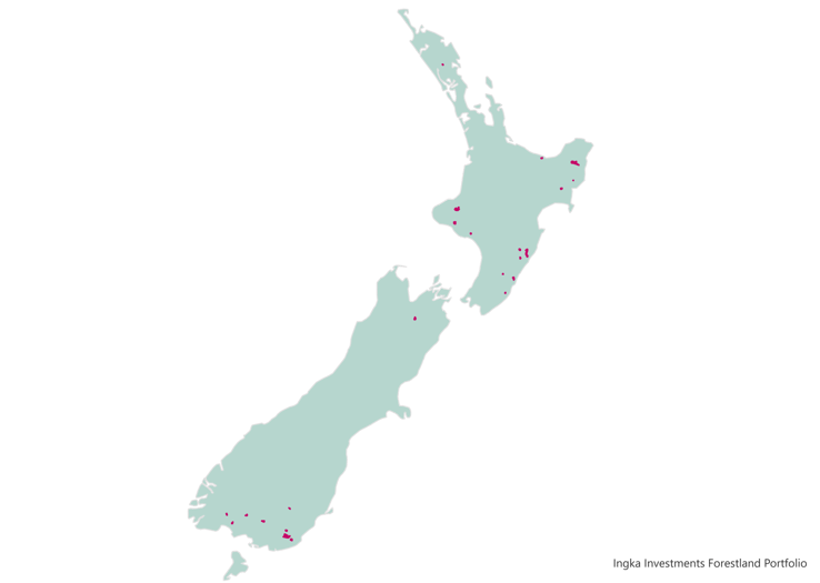 New Zealand forestland map