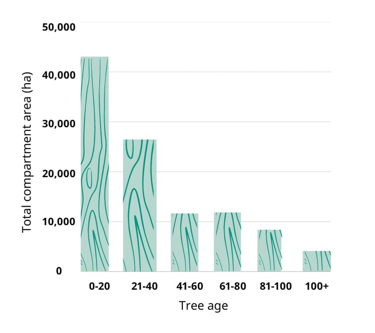 Graph showing tree ages in Latvia