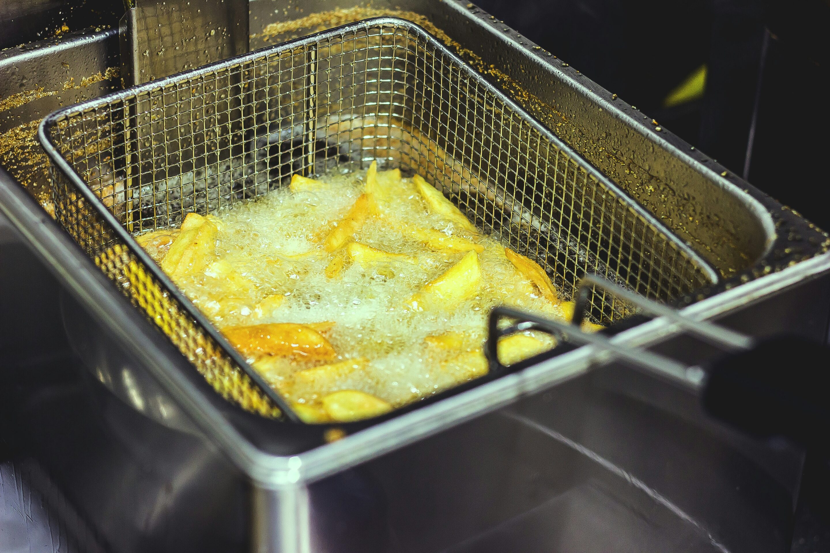 Deep fryer