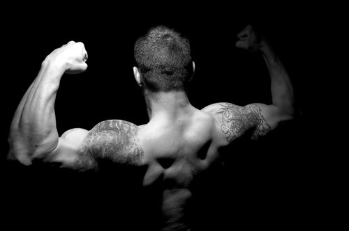 Los mejores regímenes de testosterona Los mejores regímenes de testosterona